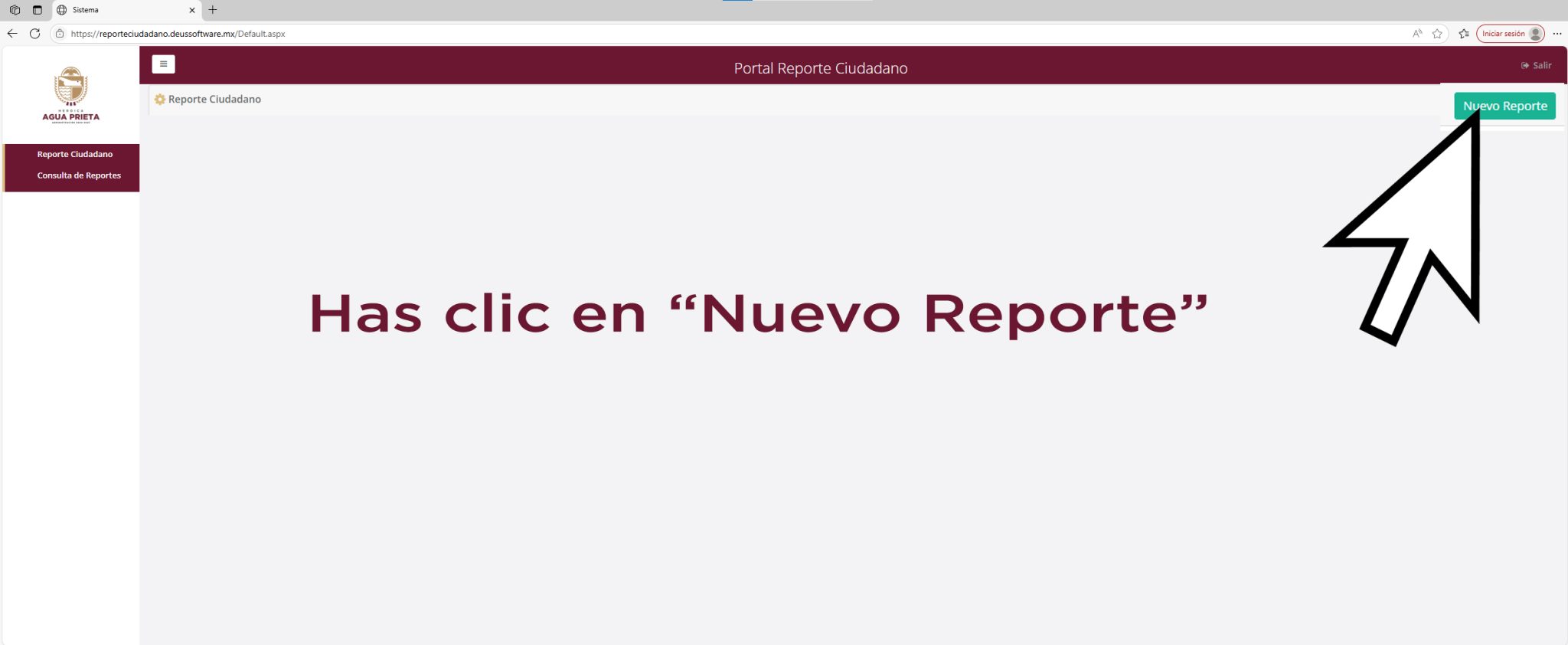 tutorial pag reportes 3