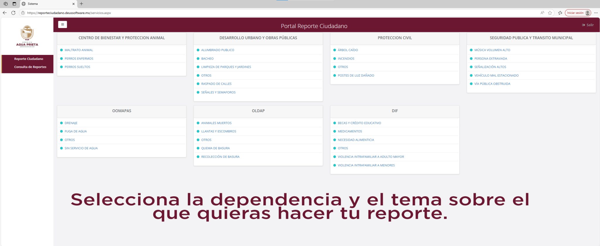 tutorial pag reportes 4