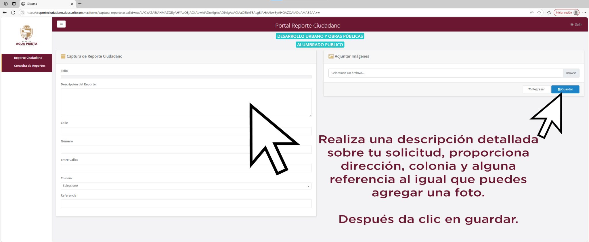 tutorial pag reportes 5