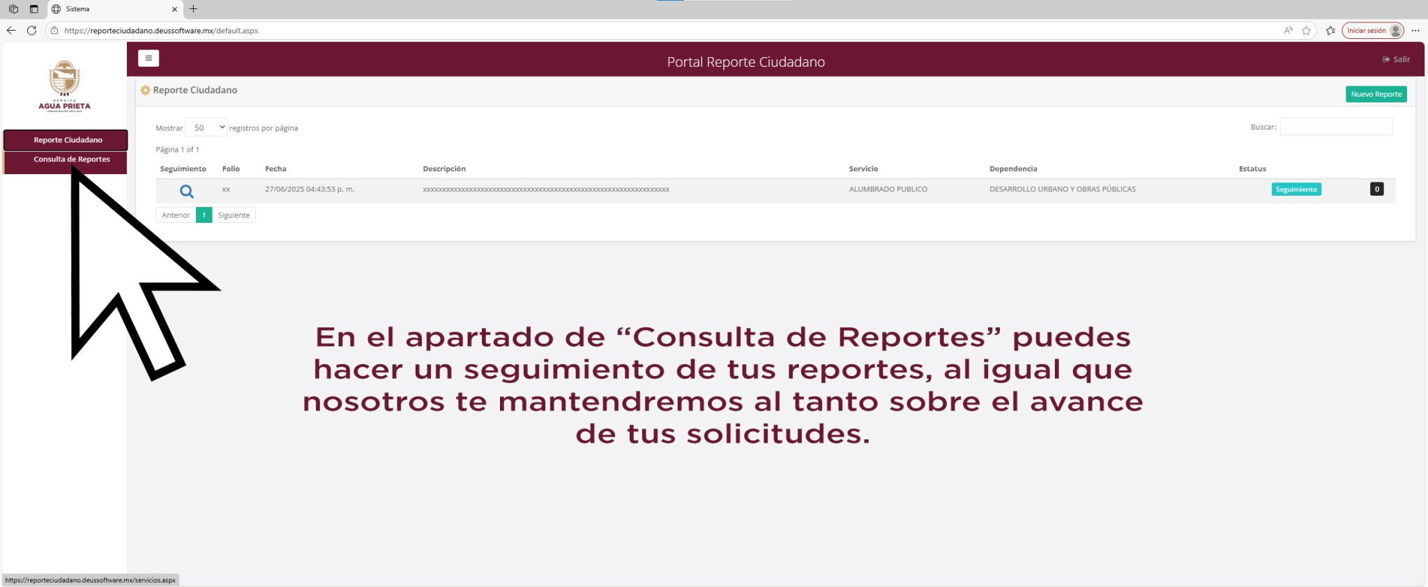 tutorial pag reportes 6
