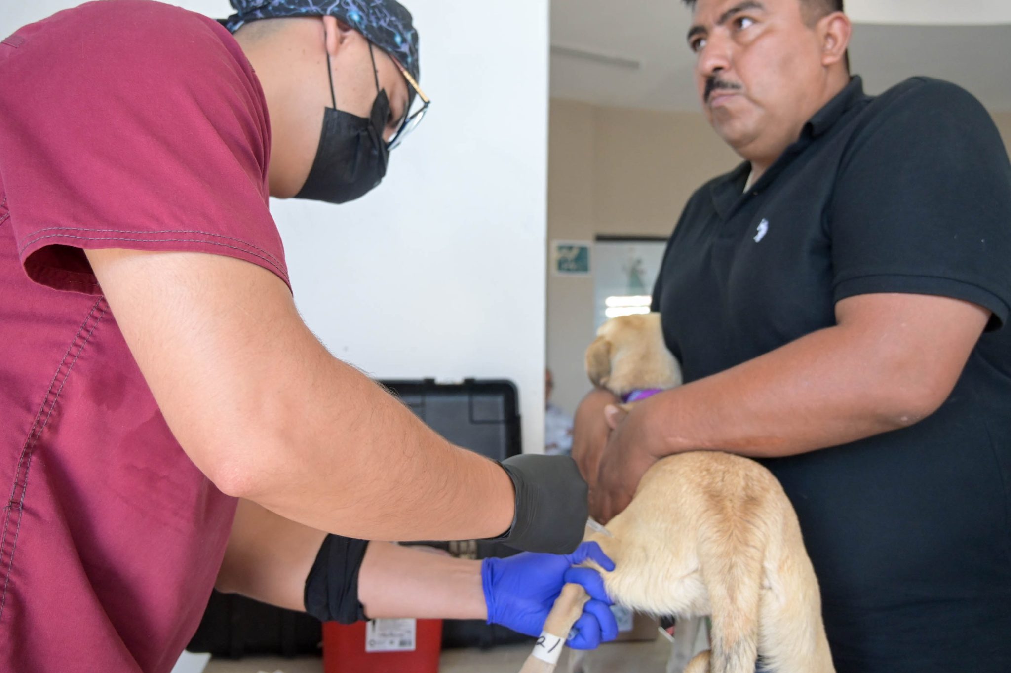 campaña de esterilizacion seguridad publica-12