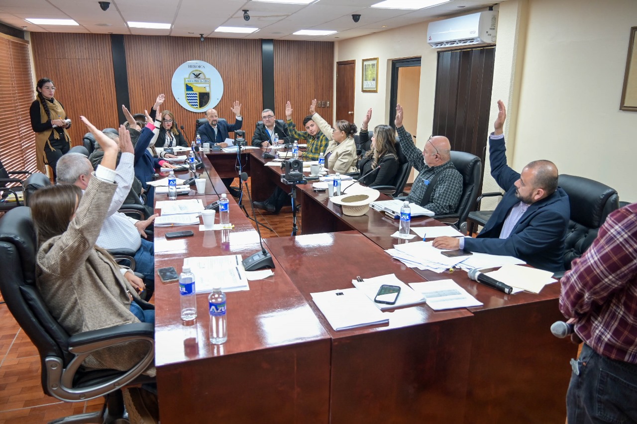 WhatsApp Image 2025-11-27 at 4.25.54 PM