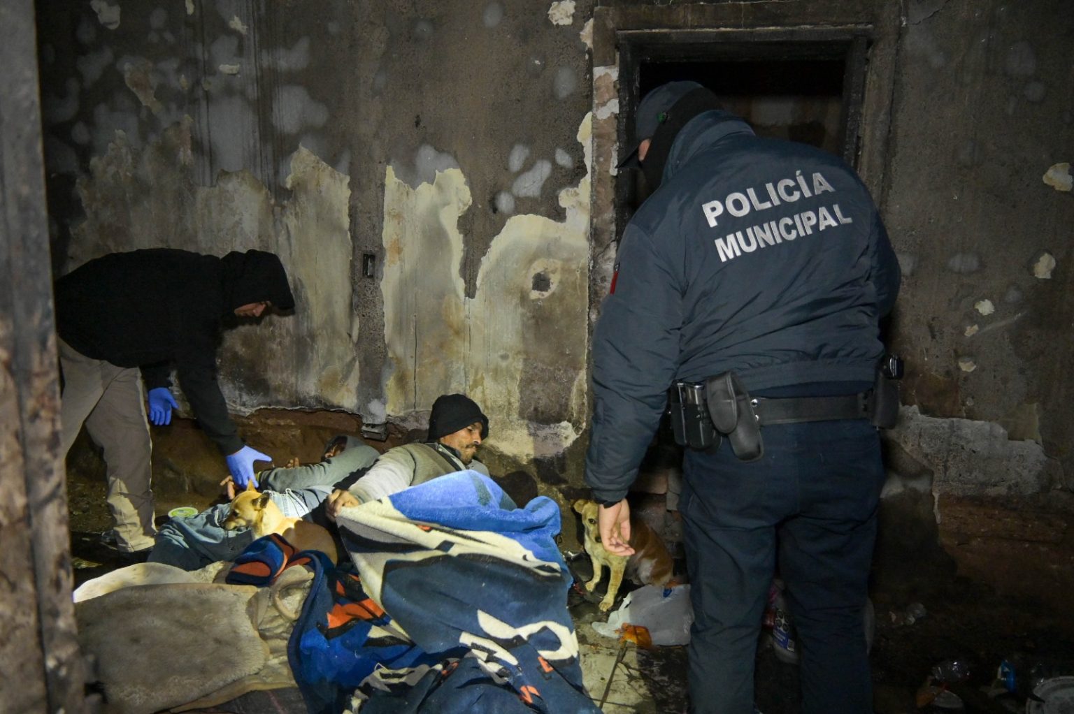 WhatsApp Image 2026-01-07 at 10.48.47 PM (1)