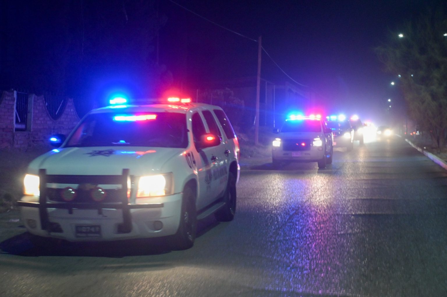 WhatsApp Image 2026-01-09 at 3.31.10 PM