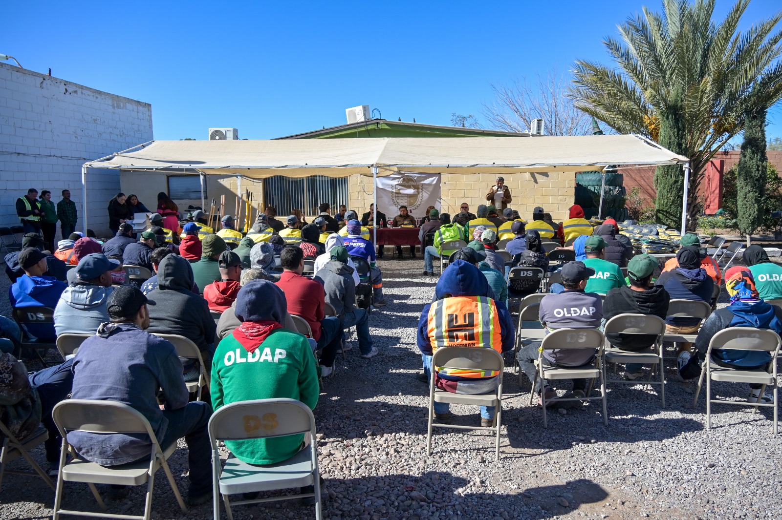 WhatsApp Image 2026-01-13 at 12.26.12 PM