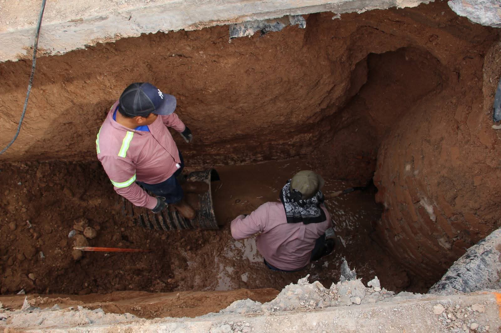 WhatsApp Image 2026-02-19 at 5.12.26 PM