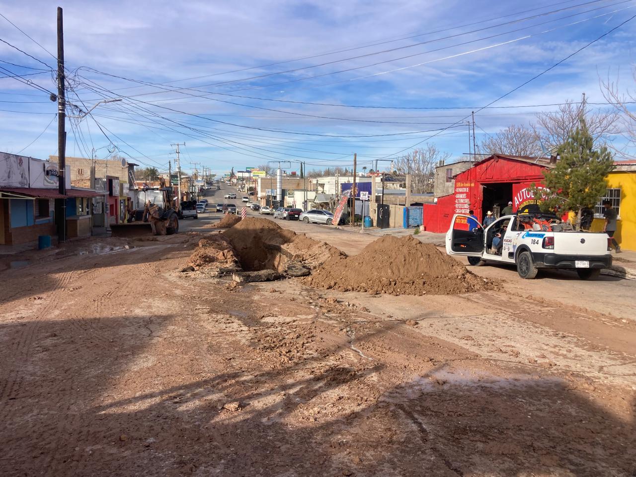 WhatsApp Image 2026-02-19 at 5.12.27 PM