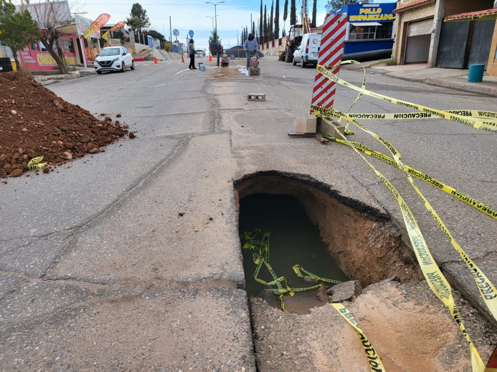 WhatsApp Image 2026-02-19 at 5.13.31 PM