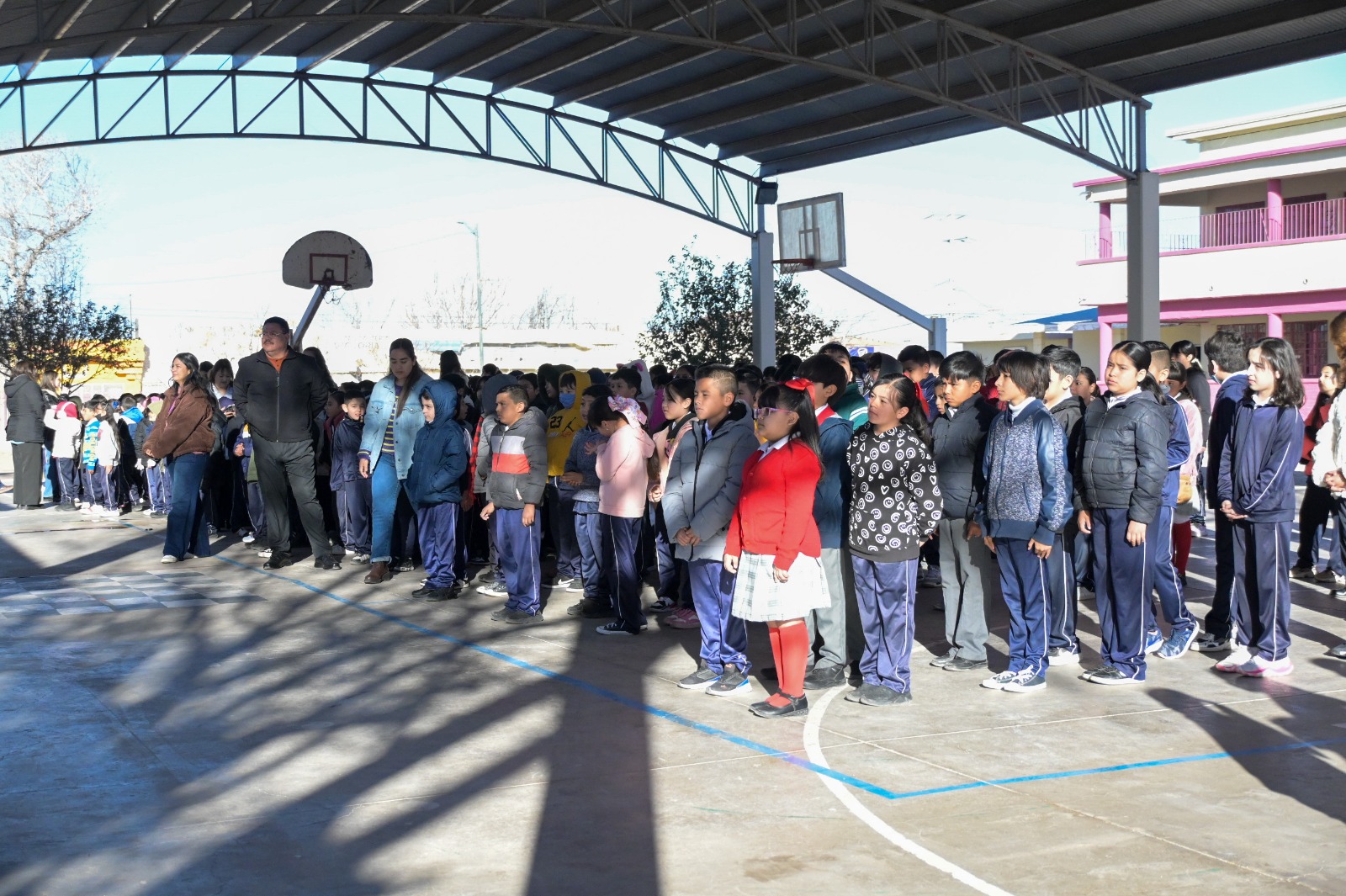 WhatsApp Image 2026-02-23 at 3.31.15 PM (1)