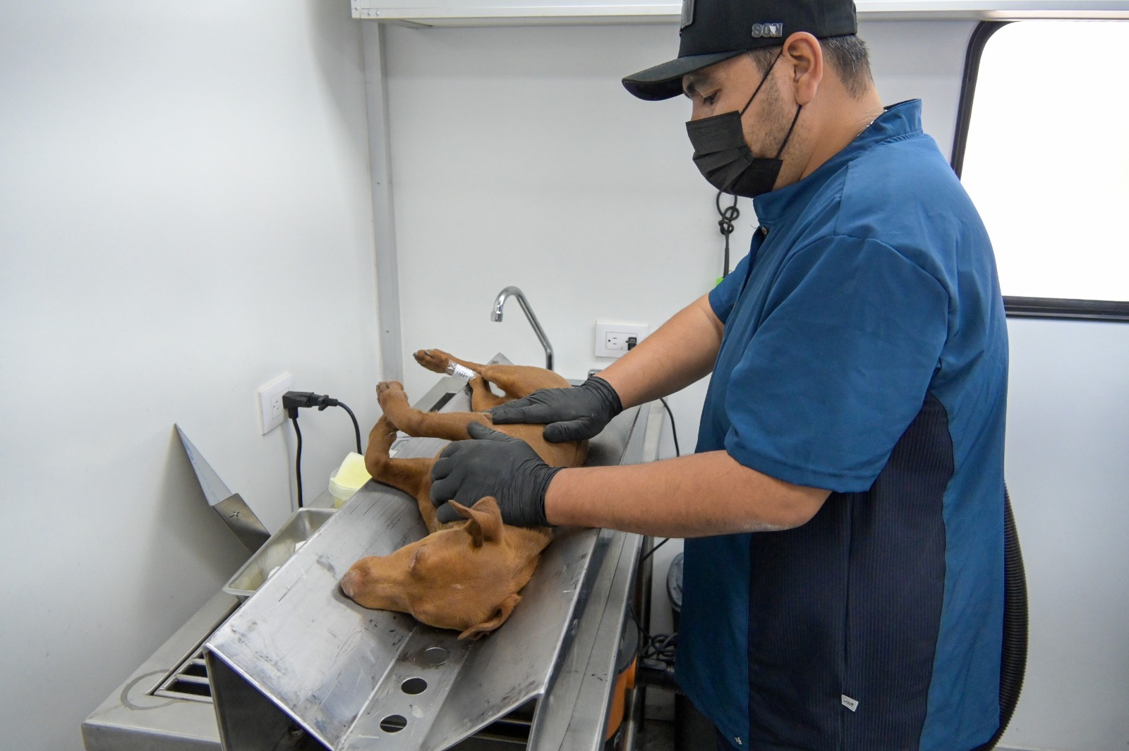 WhatsApp Image 2026-04-12 at 3.31.14 PM