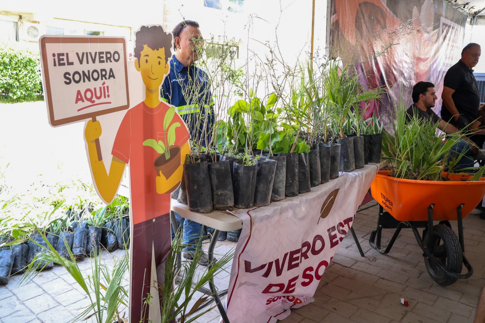 WhatsApp Image 2026-04-12 at 6.25.45 PM (1)